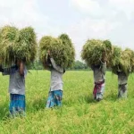 আজ ২ অক্টোবর জাতীয় উৎপাদনশীলতা দিবস। দেশের শিল্প, কৃষি ও সেবাসহ বিভিন্ন খাতে উৎপাদনশীলতা বাড়াতে জাতীয় পর্যায়ে সচেতনতা তৈরির লক্ষ্যে প্রতিবছর এ দিবসটি পালিত হয়। শিল্প মন্ত্রণালয়ের আওতাধীন জাতীয় উৎপাদনশীলতা সংস্থার উদ্যোগে দিবসটি উপলক্ষে দেশব্যাপী নানা কর্মসূচি নেওয়া হয়েছে। এবারের প্রতিপাদ্য— ‘উৎপাদনশীলতা বৃদ্ধিতে উদ্ভাবন, প্রযুক্তি ও দক্ষতার সমন্বয়’।