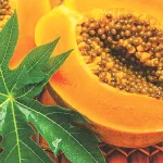 পেঁপে খাওয়ার যত উপকারিতা